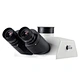 Research Biological Microscope